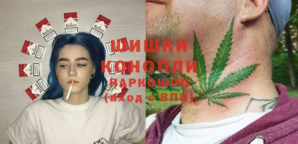 мдпв Кодинск