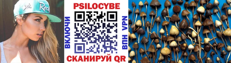 Псилоцибиновые грибы GOLDEN TEACHER  Купить закладки  Чекалин 